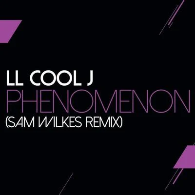 LL Cool JDr. Dre Phenomenon (Sam Wilkes Remix)