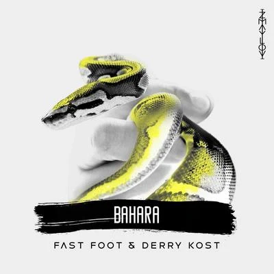 BAHARA 专辑 Fast Foot