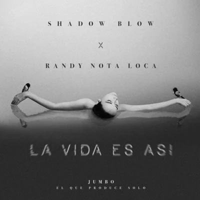 La Vida Es Así 专辑 Shadow Blow