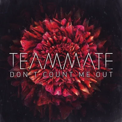 Dont Count Me Out 專輯 Teammate/Daddys Groove