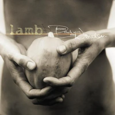 Between Darkness And Wonder 專輯 Lamb