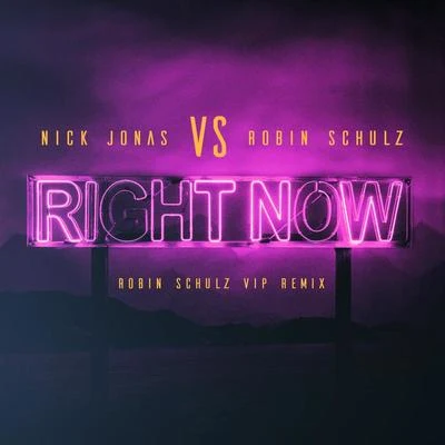 Right Now (Robin Schulz VIP Remix) 专辑 Robin Schulz