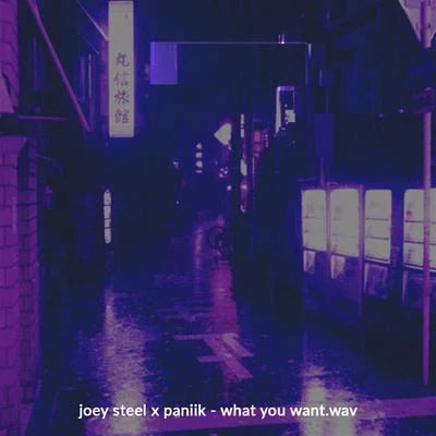 What you want 专辑 Joey Steel