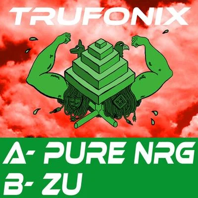 PesnyaTru Fonix Pure Nrg