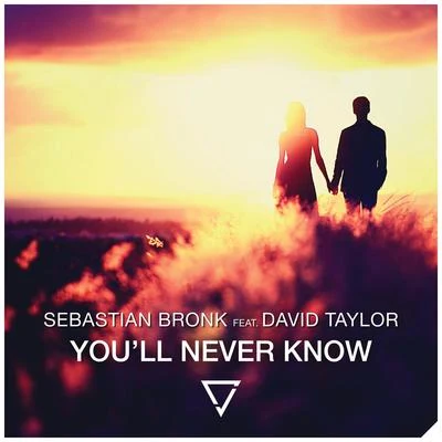 David TaylorPaul PolivnickGlen CorteseEric EwazenJessica ZhouInternational Sejong Soloists Youll Never Know (feat. David Taylor)