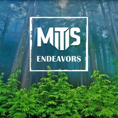 Endeavors + Alive Remix 專輯 MitiS