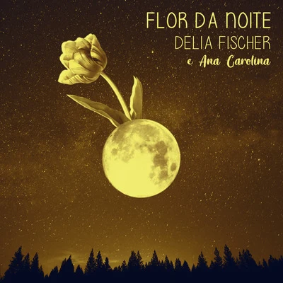 Flor da noite 專輯 Ana Carolina