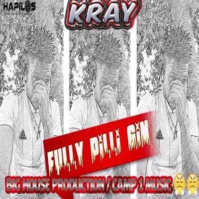 Fully Pilli Gin 专辑 Kray