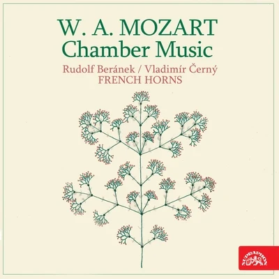 Mozart: Chamber Music 專輯 Petr Sprunk