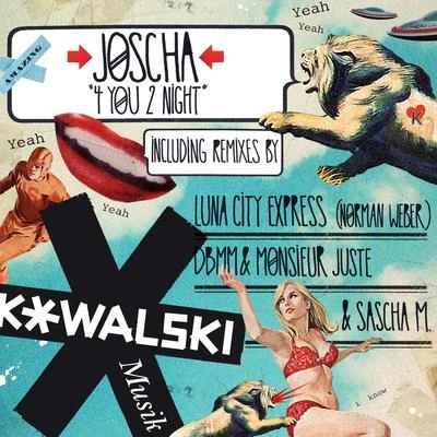 4 You 2 Night 專輯 Josha/Greg Ignatovich/Jan Dalvik/Josh Butler/Alexandros Djkevingr