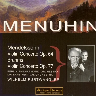 Mendelssohn & Brahms: Violin Concertos Op. 64 & Op. 77 專輯 Wilhelm Furtwängler