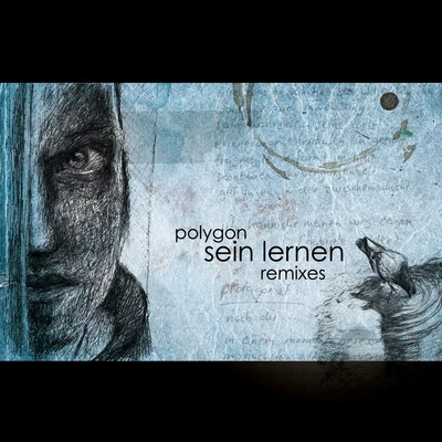 Sein Lernen Remixes 專輯 Polygon