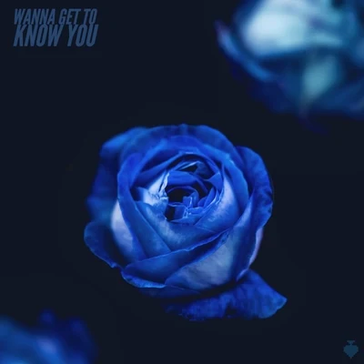 Wanna Get to Know You 專輯 Spadez/Big Rome/Young FLACS