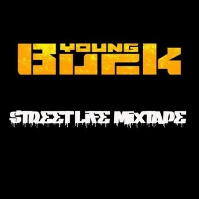 Sreet Life Mixtape 專輯 Snypa/Young Buck