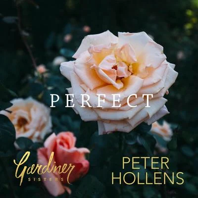 Perfect 專輯 Peter Hollens/Lindsey Stirling