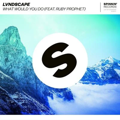 What Would You Do 專輯 LVNDSCAPE/Yves Larock/Jaba