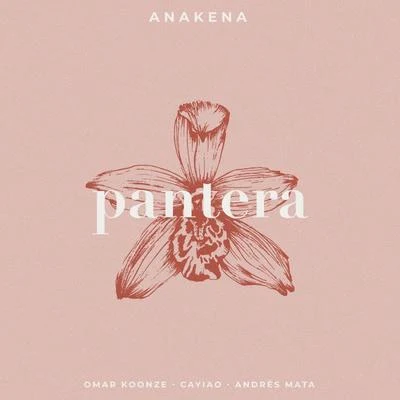 Pantera (Acústica) 专辑 Omar Koonze