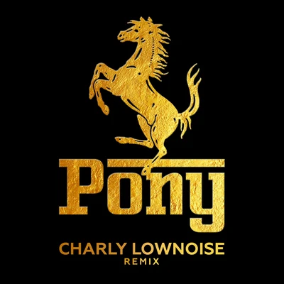 Pony (Charly Lownoise Remix) 專輯 De Kraaien