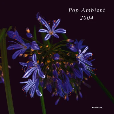 Pop Ambient 2004 专辑 Diverse