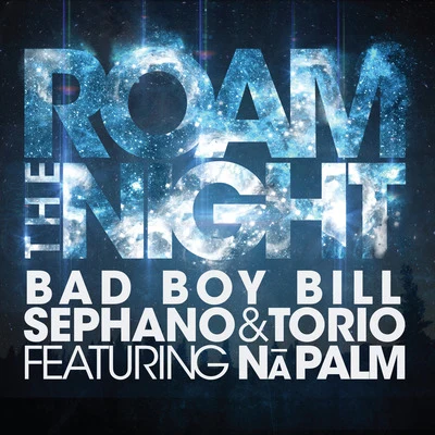 Roam the Night (feat. Na Palm) 专辑 Bad Boy Bill