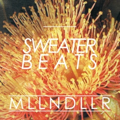 Mlln Dllr 专辑 Sweater Beats