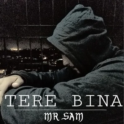 Tere Bina 專輯 Mr Sam