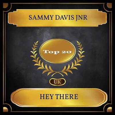 Hey There (UK Chart Top 20 - No. 19) 專輯 Sammy Davis Jnr