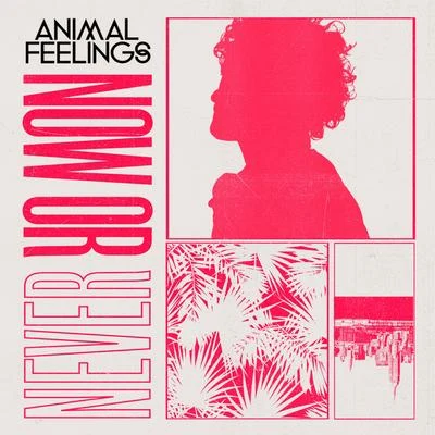 Now or Never 专辑 Animal Feelings