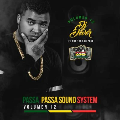 Passa Passa Sound System, Vol. 12 (El Que Todo lo Pega) 專輯 Lil Silvio & El Vega/DJ Dever