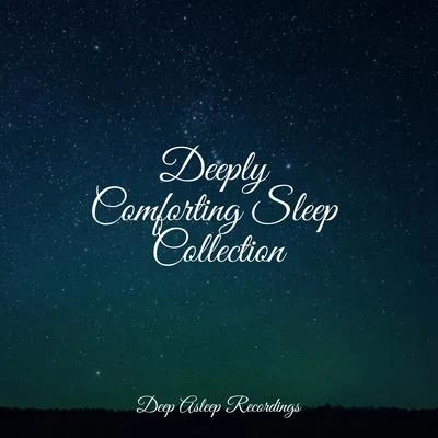 Deeply Comforting Sleep Collection 專輯 A Sudden Rainstorm/Zen Meditate/Thunder and Rain Storm