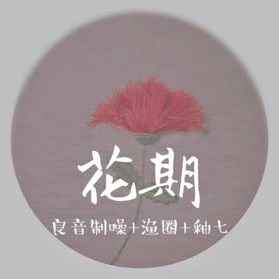 花期 专辑 渔圈