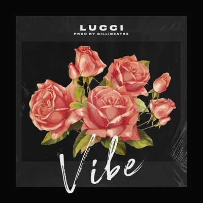 Vibe 专辑 LUCCI