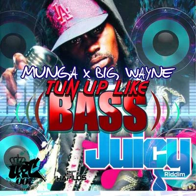 Tun up Like Bass 专辑 Munga/Chi Ching/Supa Hype/Fambo