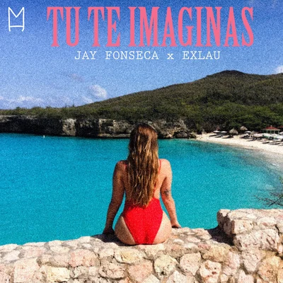 Tu Te Imaginas 專輯 Jay Fonseca