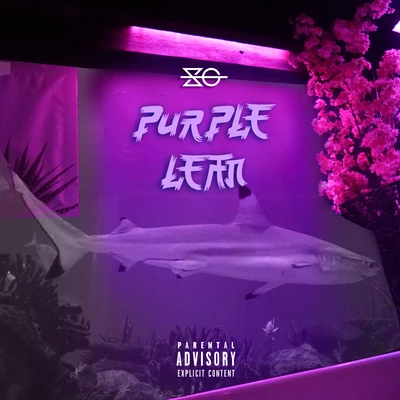 Purple Lean 专辑 Big da Godoy/Slow Gang