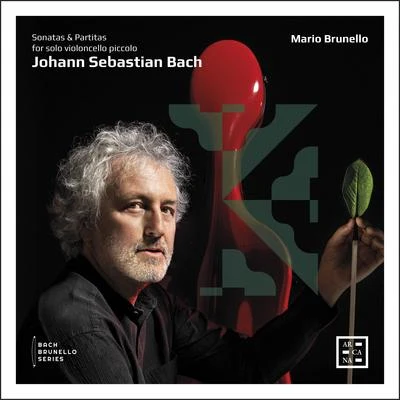 Bach: Sonatas and Partitas for Solo Violoncello Piccolo 专辑 Mario Brunello