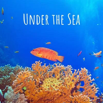 Under the Sea 专辑 By The Water/Zen Music Garden/Deep Rain Sampling