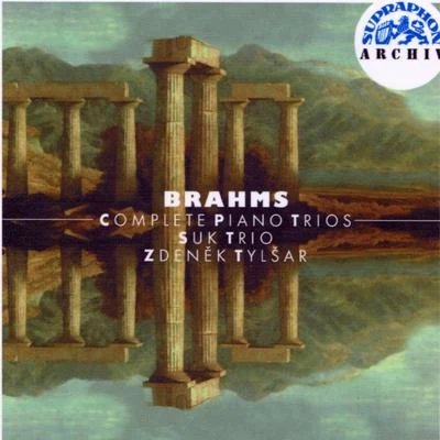 Brahms: Piano Trios 專輯 Suk Trio