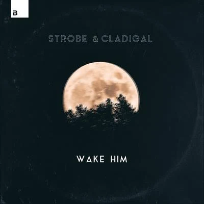 Wake Him 專輯 Strobe/Sebastian Ingrosso/Addy van der Zwan/Hardwell/Mark Brown