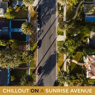 Chillout on a Sunrise Avenue: 2019 Chill Music Collection for Best Relaxation Experience, Holiday Sounds, Tropical Vacation Mix, Ultimate Rest & Calmi 專輯 Chill Out Beach Party Ibiza/Chilled Ibiza/The Best Of Chill Out Lounge