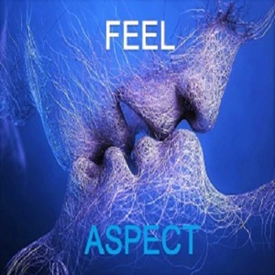 Aspect Feel