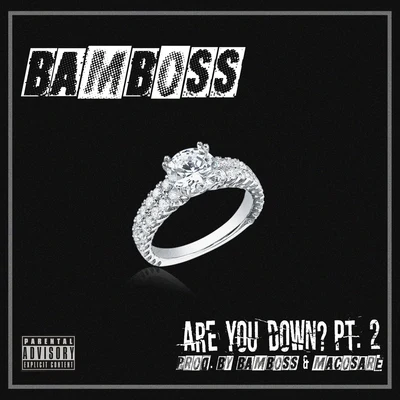 Are You Down? Pt. 2 (feat. Macosare) 專輯 Sentry/Armzout/Bamboss