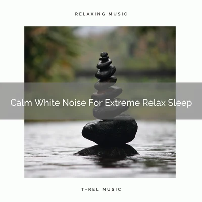 Calm White Noise For Extreme Relax Sleep 专辑 Rainforest Ambience/White Noise Relaxation