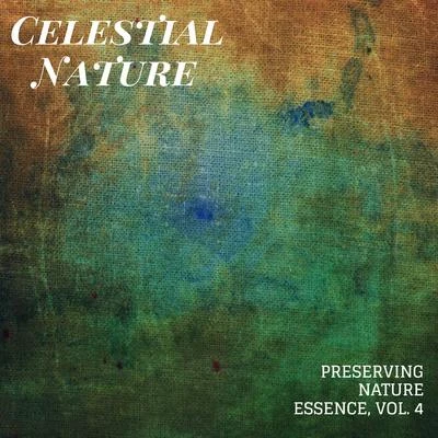 Celestial Nature - Preserving Nature Essence, Vol. 4 專輯 White Noise Meditation/Relax Ambience