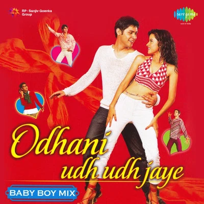 Odhani Udh Udh Jaye Baby Boy Mix 專輯 Sanjay Sawant/Anupama Deshpande/Arun Ingle