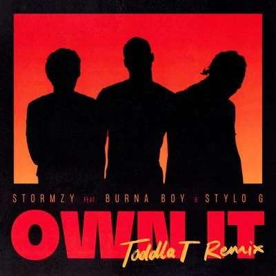 Own It (feat. Burna Boy & Stylo G) [Toddla T Remix] 專輯 The Heavytrackerz/Stormzy/P Money/Desperado/Big Narstie