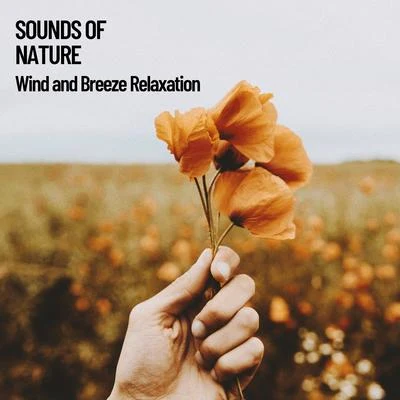 Sounds of Nature: Wind and Breeze Relaxation 专辑 Rest & Relax Nature Sounds Artists