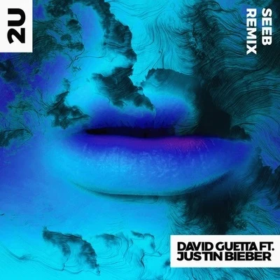 David Guetta 2U (Seeb Remix)