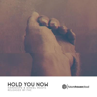 Hold You Now 专辑 Guilty Pleasure/Harddope/Pitt Leffer/Antonia