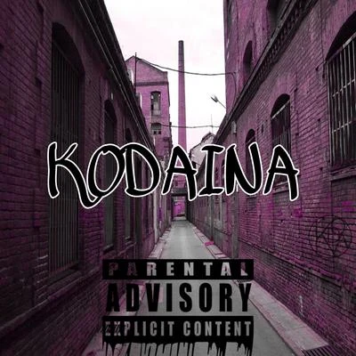 Kodaina 专辑 DCT/Odin/Koda